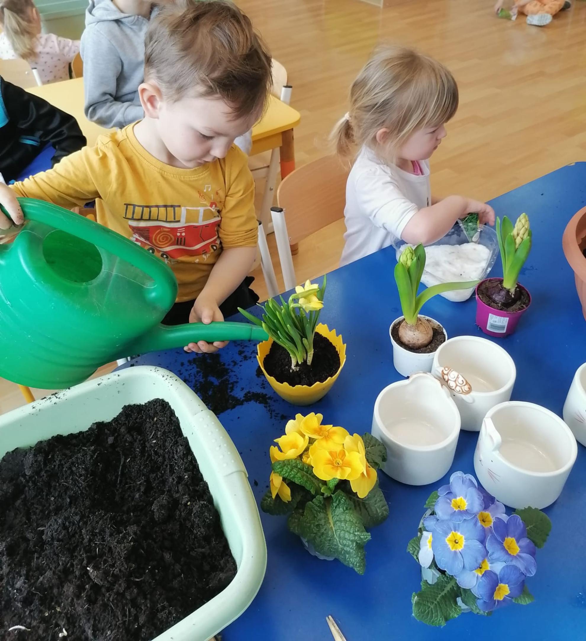 WIOSENNE HODOWLE W PRZEDSZKOLU W SZONOWICACH